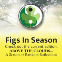 winter-slider-2025 winter-slider-2025